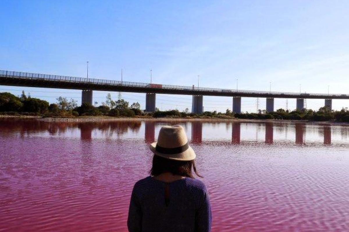 В Австралии появилось необычное розовое озеро