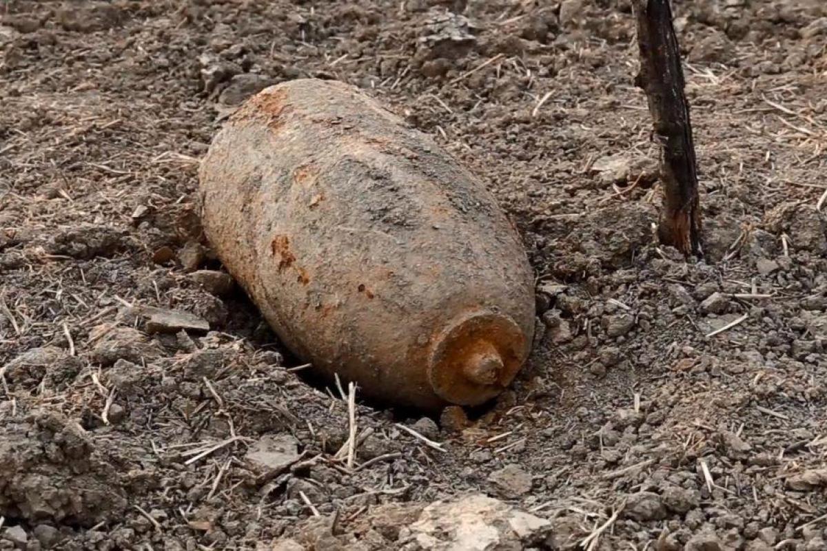 В Словакии на границе с Украиной обнаружили 100-килограммовую авиабомбу