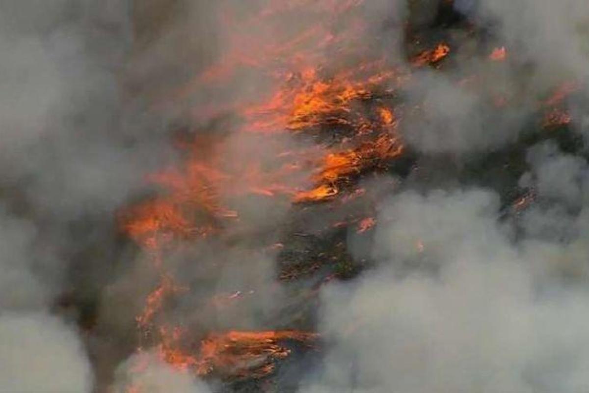 В США бушует лесной пожар в национальном парке штата Аризона