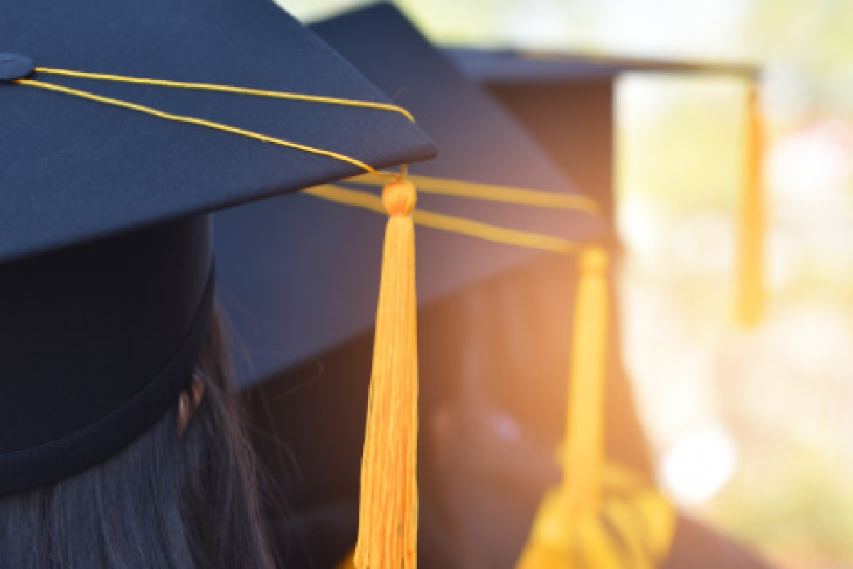 В Минобразования рассказали об особенностях вступительной кампании-2019