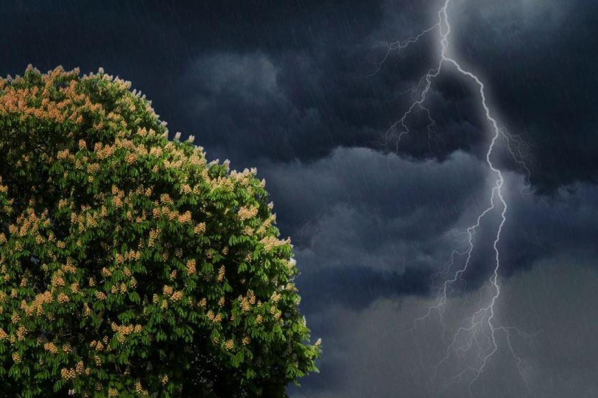 В Луганской области из-за непогоды остались без света более 5 тысяч потребителей В Луганской области из-за непогоды остались без света более 5 тысяч потребителей