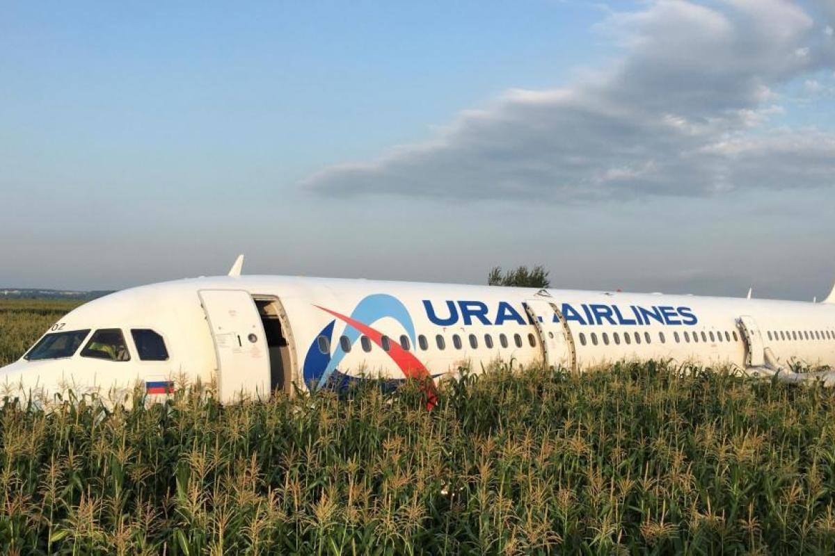 В базу "Миротворца" внесен экипаж лайнера, совершившего аварийную посадку в Подмосковье