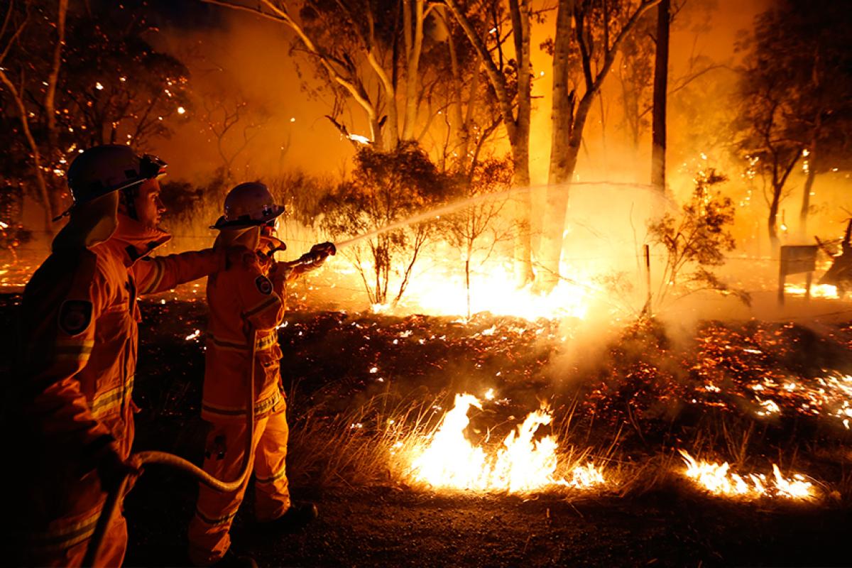 В Австралии бушуют лесные пожары: есть жертвы В Австралии бушуют лесные пожары: есть жертвы