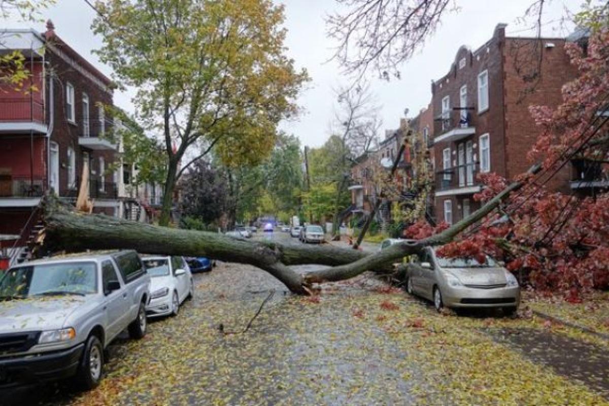 В Канаде из-за непогоды без света остались 980 тысяч человек