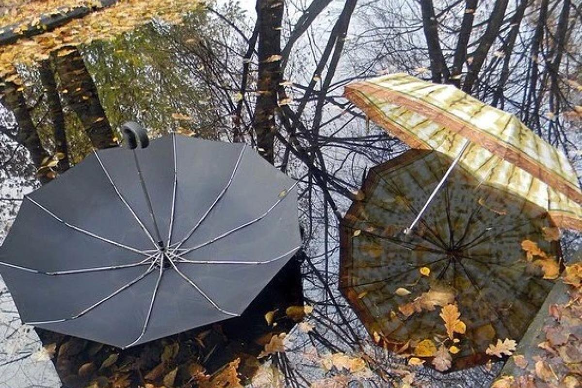 Приближается тепло: Синоптики рассказали, когда в Украину вернутся морозы Приближается тепло: Синоптики рассказали, когда в Украину вернутся морозы