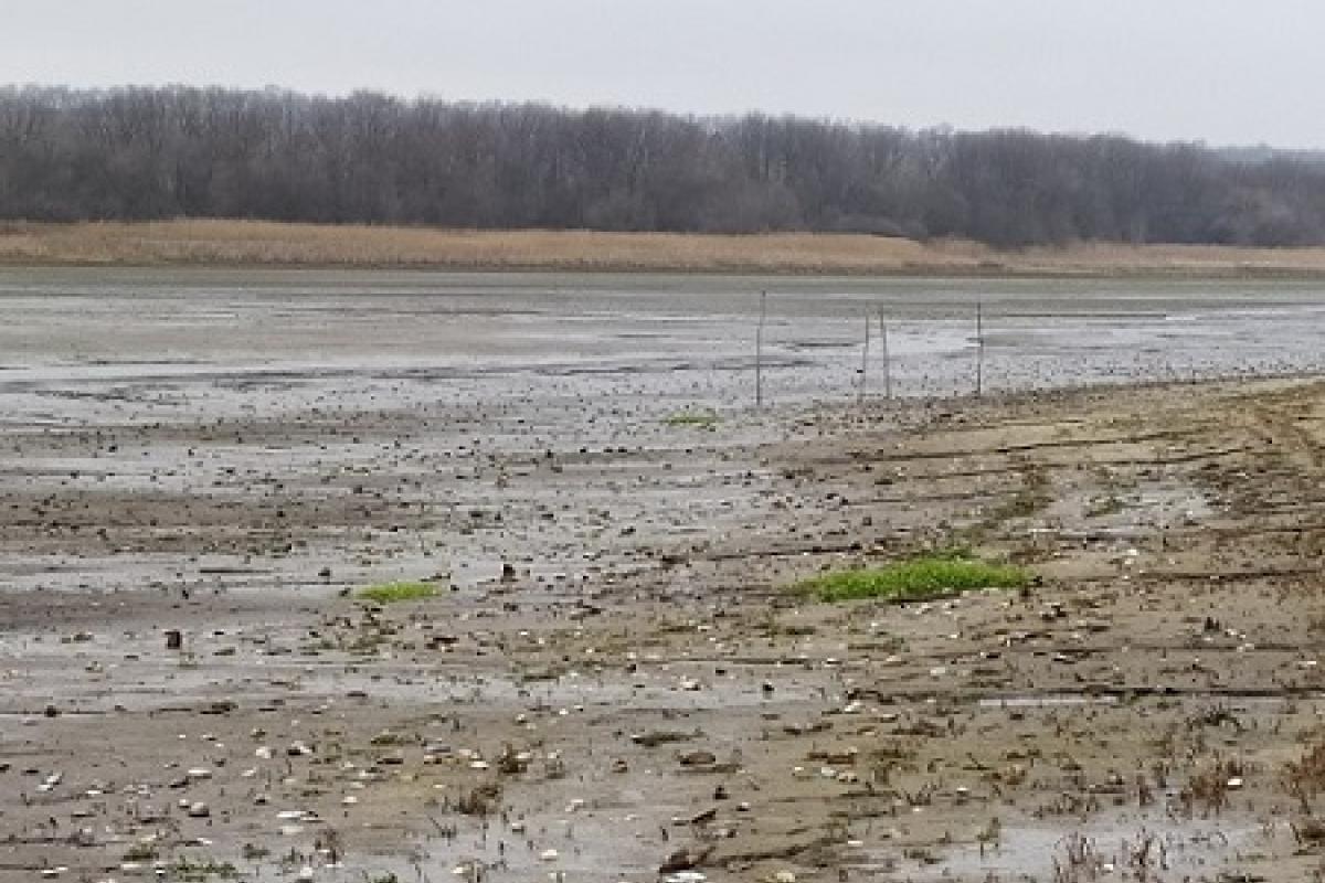 В Луганской области из-за обезвоживания водохранилища погибло 13 тонн рыбы: убытки превысили 6 млн гривен В Луганской области из-за обезвоживания водохранилища погибло 13 тонн рыбы: убытки превысили 6 млн гривен