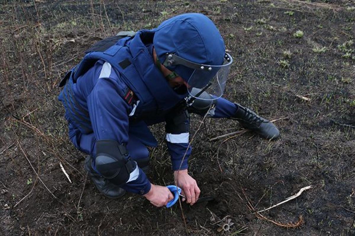 Смертоносное железо: Вблизи Северодонецка обнаружены две мины времен Второй Мировой войны Смертоносное железо: Вблизи Северодонецка обнаружены две мины времен Второй Мировой войны
