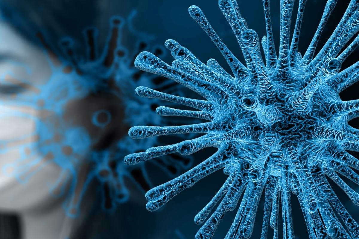 ВОЗ: Бесполезно ожидать, что коронавирус просто исчезнет летом ВОЗ: Бесполезно ожидать, что коронавирус просто исчезнет летом