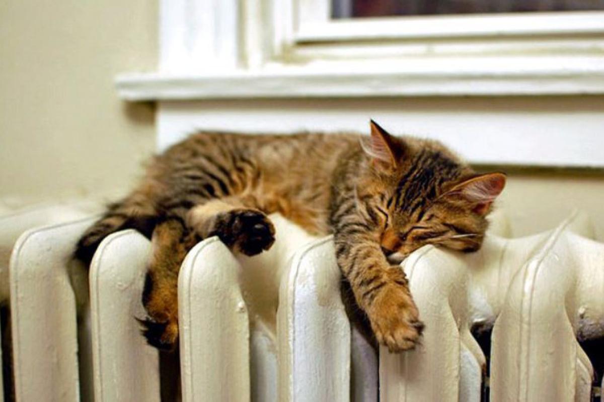 Должны принять решение до 1 мая: Важная информация для жителей Лисичанска по отоплению Должны принять решение до 1 мая: Важная информация для жителей Лисичанска по отоплению