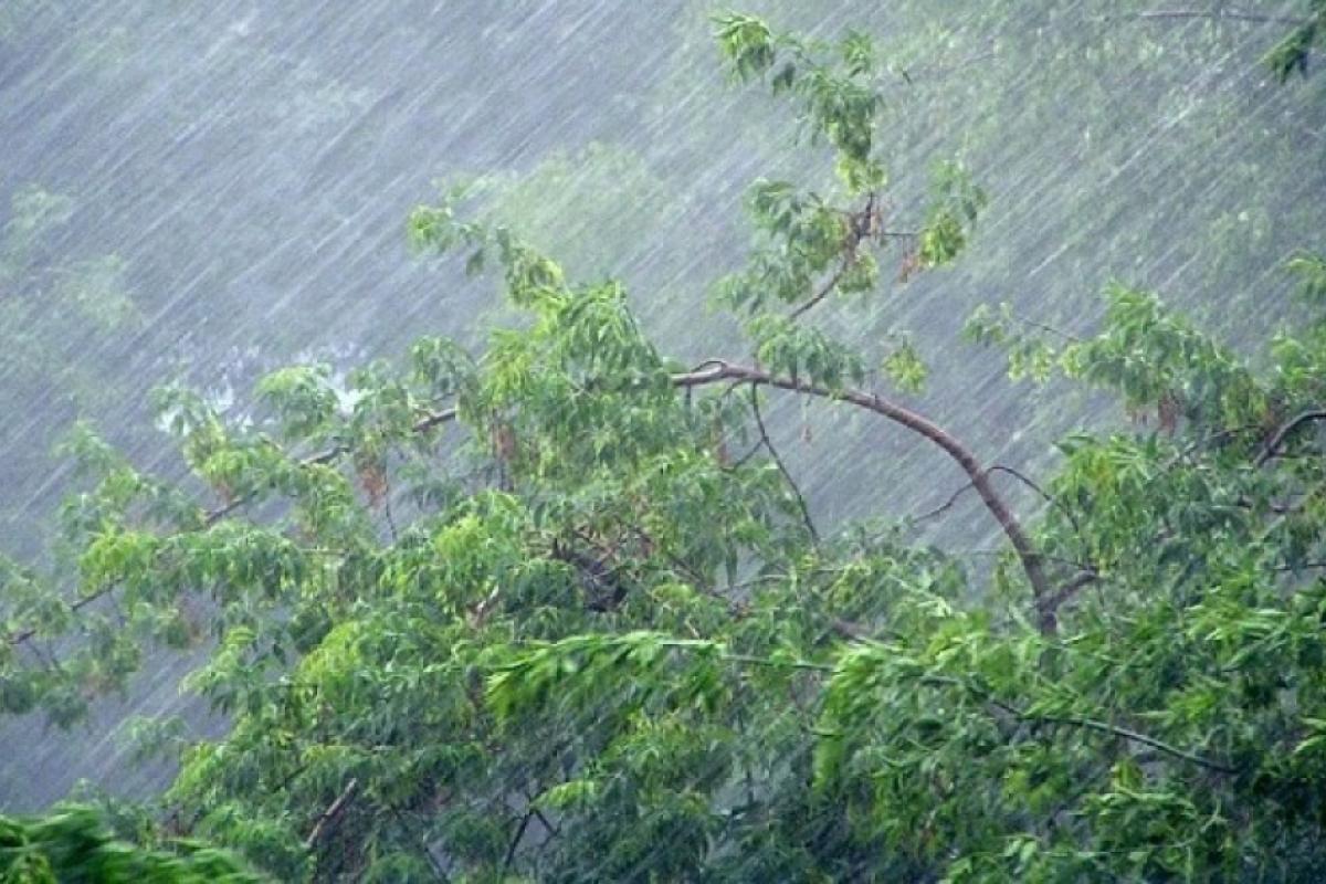 Ветер рвал провода и срывал крыши, град повредил посевы: последствия непогоды на Луганщине Ветер рвал провода и срывал крыши, град повредил посевы: последствия непогоды на Луганщине