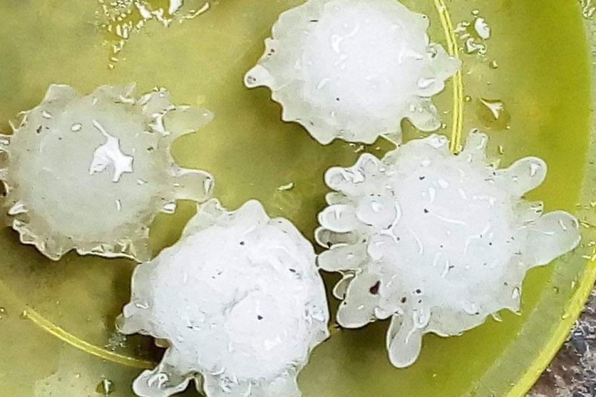 В Мексике и Китае выпал "коронавирусный" град: впечатляющие кадры