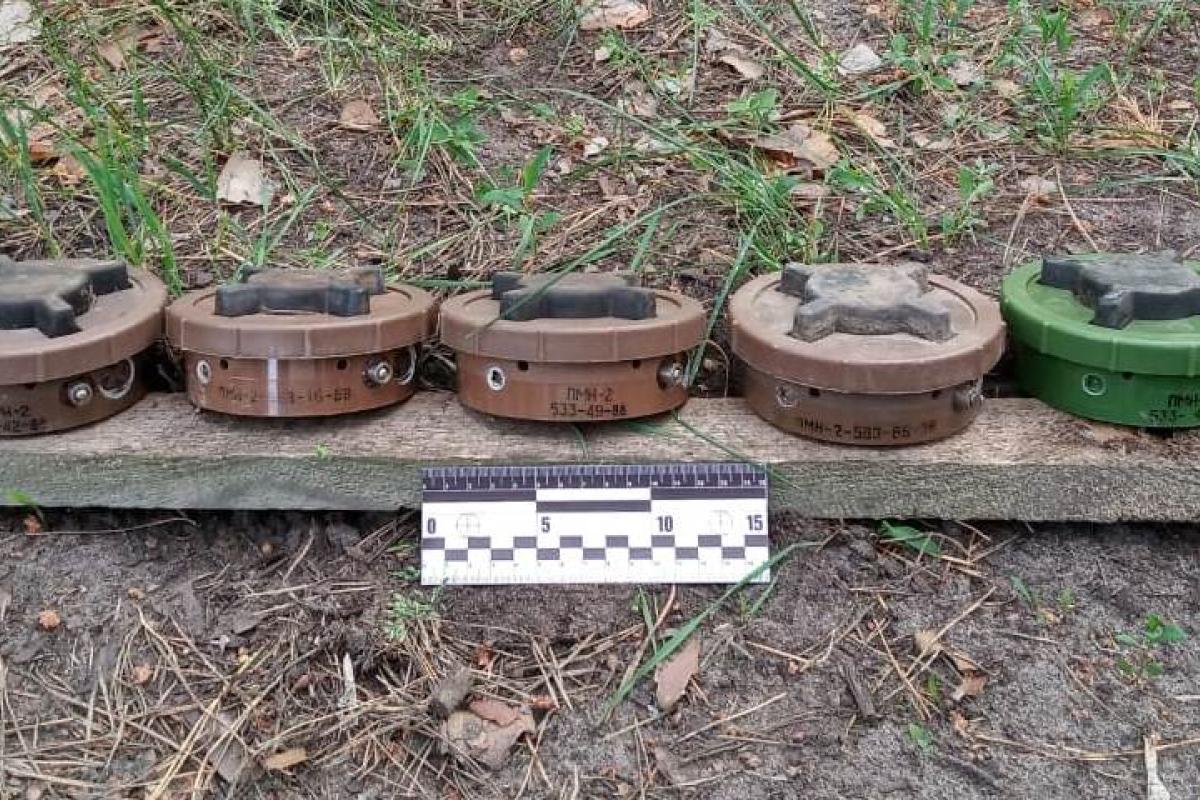 Боевики установили более 150 мин вблизи населенного пункта на Луганщине