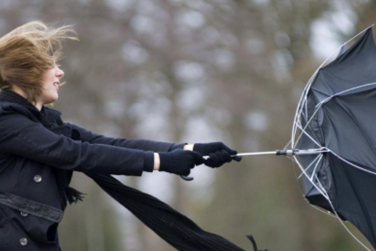 В результате непогоды без света остались 53 населенных пункта в Луганской и Донецкой областях В результате непогоды без света остались 53 населенных пункта в Луганской и Донецкой областях