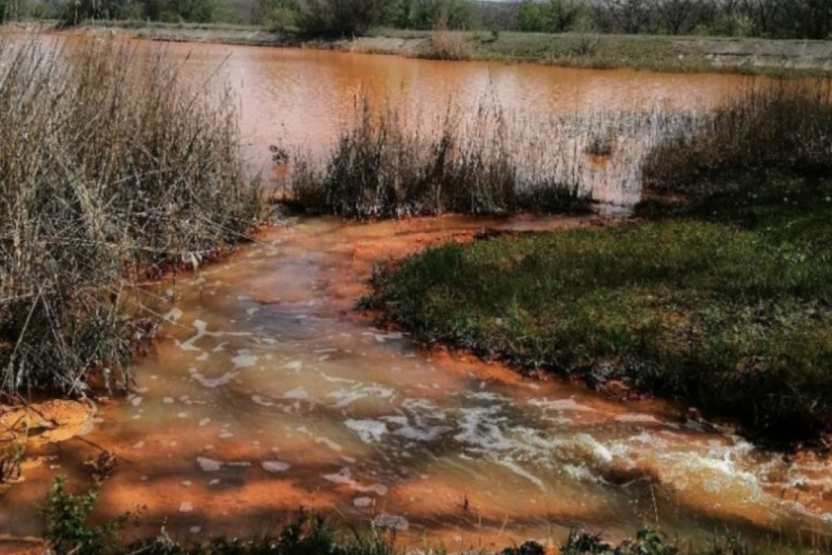 На оккупированном Донбассе отравлены 2 водохранилища: здоровье людей оказалось под угрозой