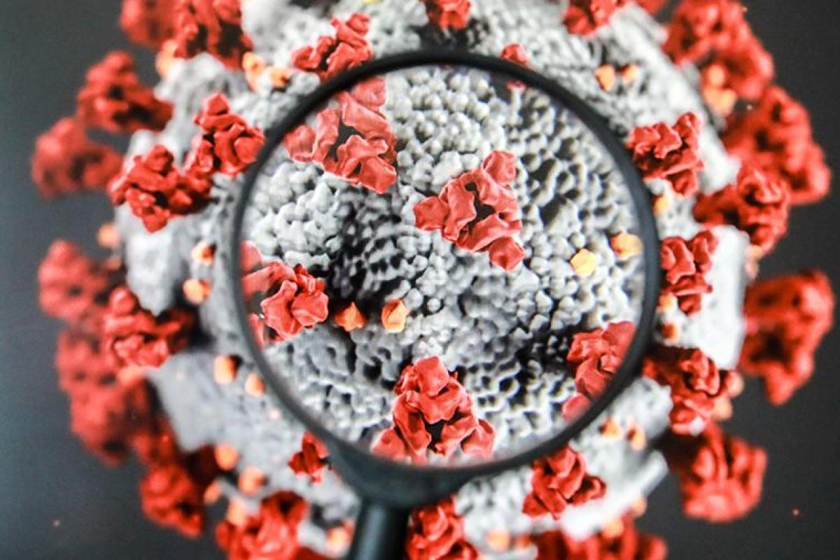 Создана детальная 3D-модель вируса SARS-CoV-2: как выглядит бездушный убийца Создана детальная 3D-модель вируса SARS-CoV-2: как выглядит бездушный убийца