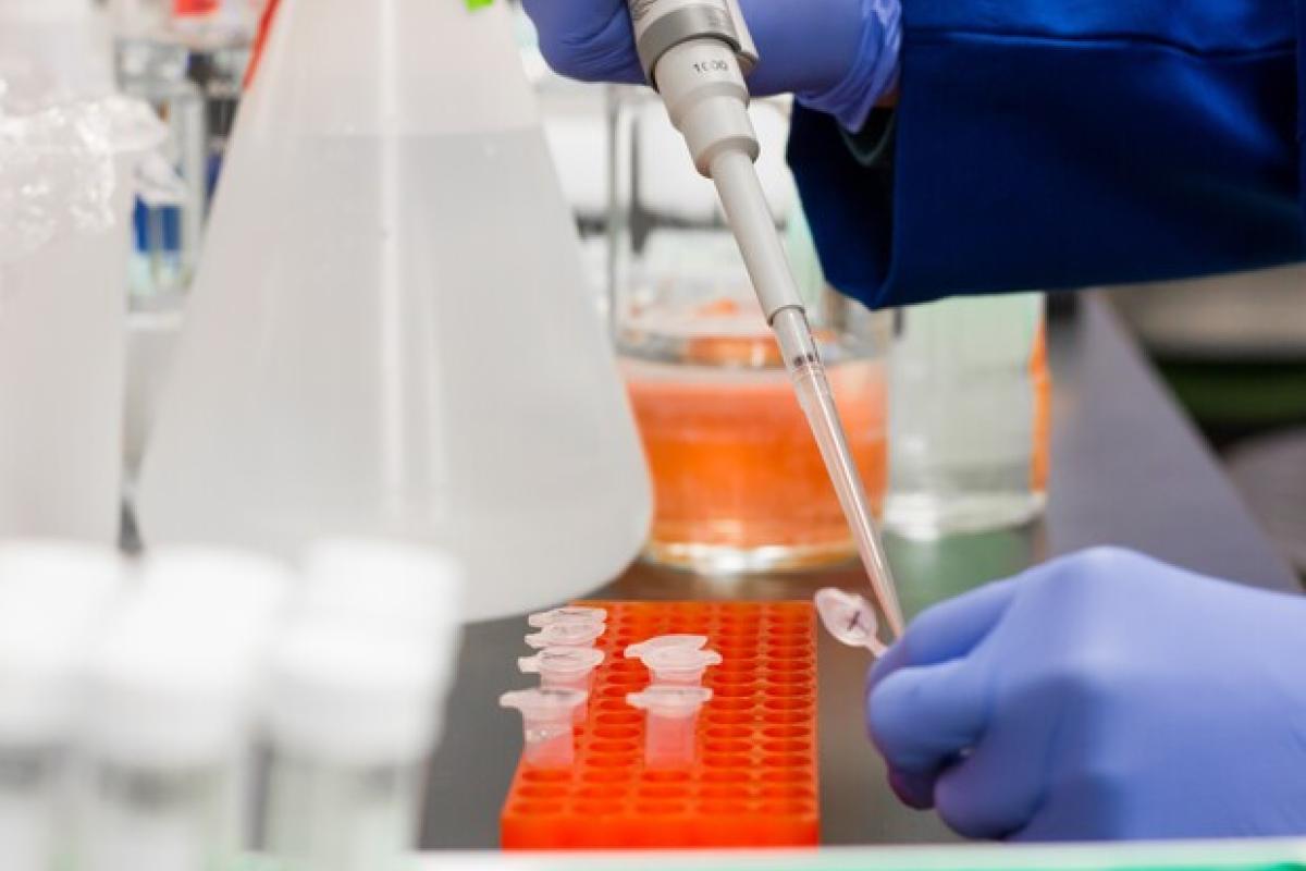 В Украине зафиксировано более полутысячи новых случаев заражения COVID-19 за сутки