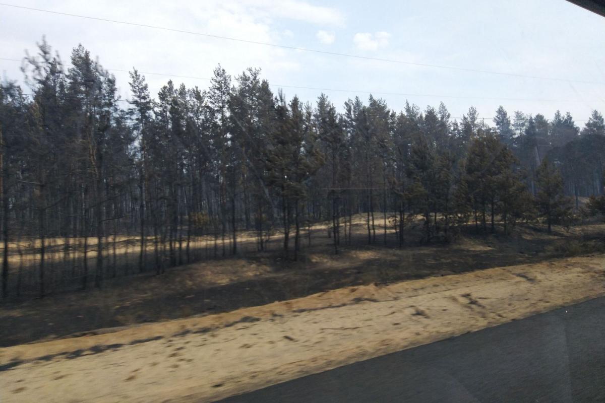 На Луганщине в связи с массовыми лесными пожарами ожидают приезда президента Зеленского На Луганщине в связи с массовыми лесными пожарами ожидают приезда президента Зеленского