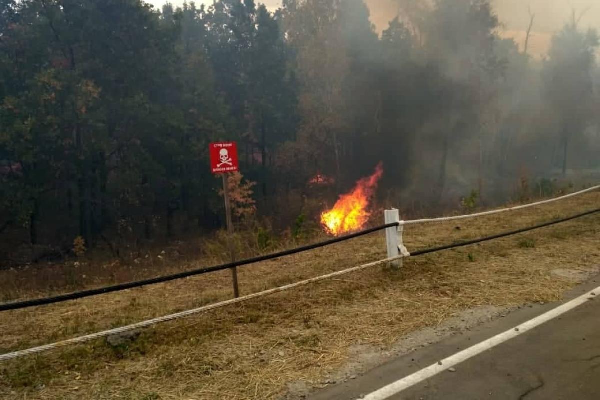На Луганщині через пожежу закрили КПВВ "Станиця Луганська" На Луганщині через пожежу закрили КПВВ "Станиця Луганська" 