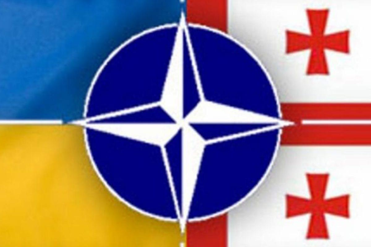 НАТО усилит поддержку Украины и Грузии на фоне агрессии РФ НАТО усилит поддержку Украины и Грузии на фоне агрессии РФ