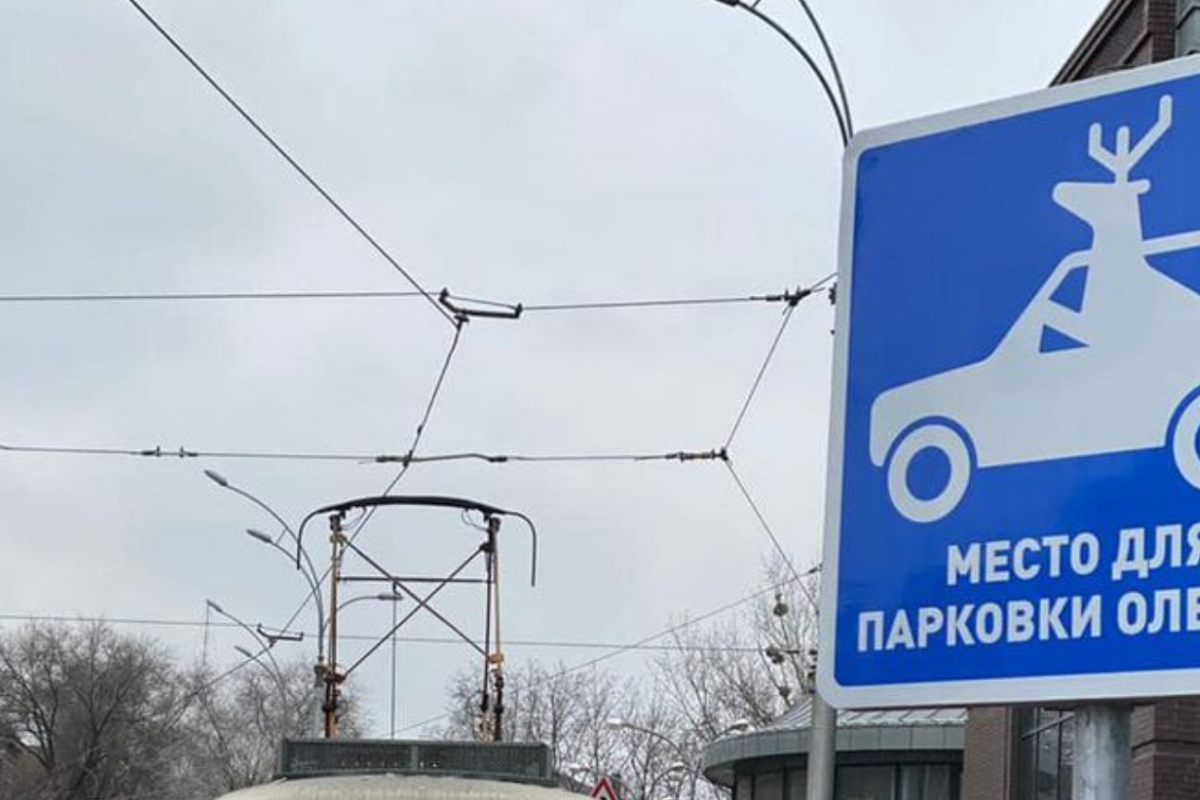 В Харькове появилась "парковка для оленей" В Харькове появилась "парковка для оленей"