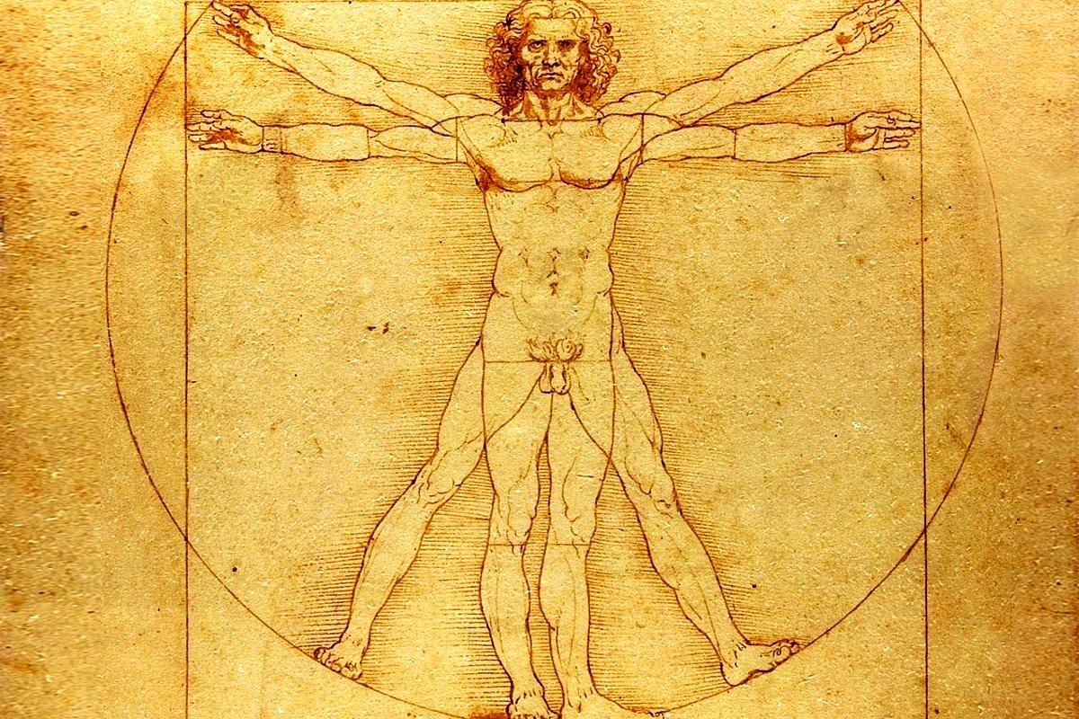 Следы эволюции: Зачем человеку копчик, аппендикс, эпикантус и другие рудименты