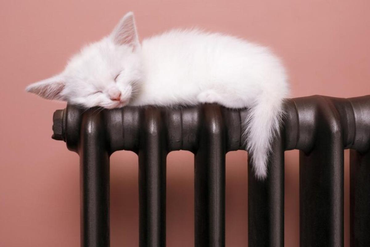 Лисичанськ - єдине місто на Луганщині, де завершився опалювальний сезон Лисичанськ - єдине місто на Луганщині, де завершився опалювальний сезон