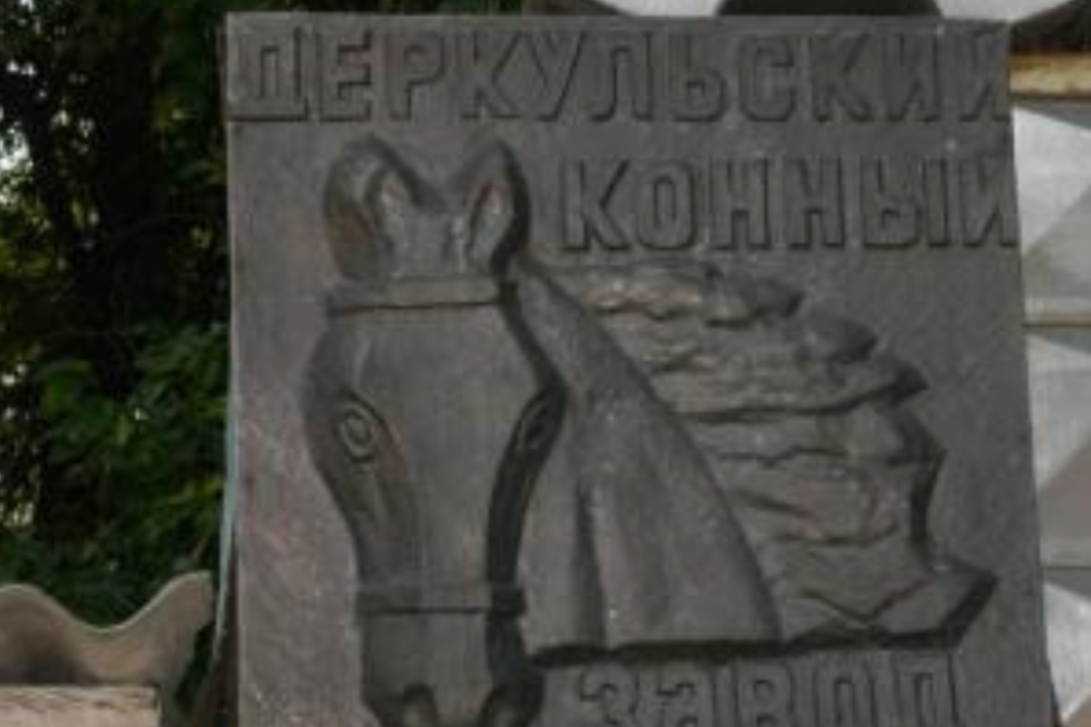 Конезавод з 200-річною історією: Чим знаменитий Деркульський кінний завод, розташований на Луганщині Конезавод з 200-річною історією: Чим знаменитий Деркульський кінний завод, розташований на Луганщині