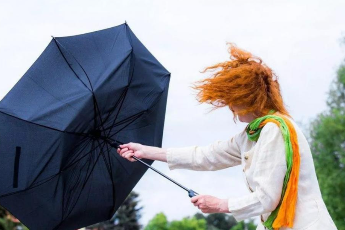 Жара и дожди: Синоптики рассказали, когда придет долгожданная прохлада и где ждать грозовых ливней Жара и дожди: Синоптики рассказали, когда придет долгожданная прохлада и где ждать грозовых ливней