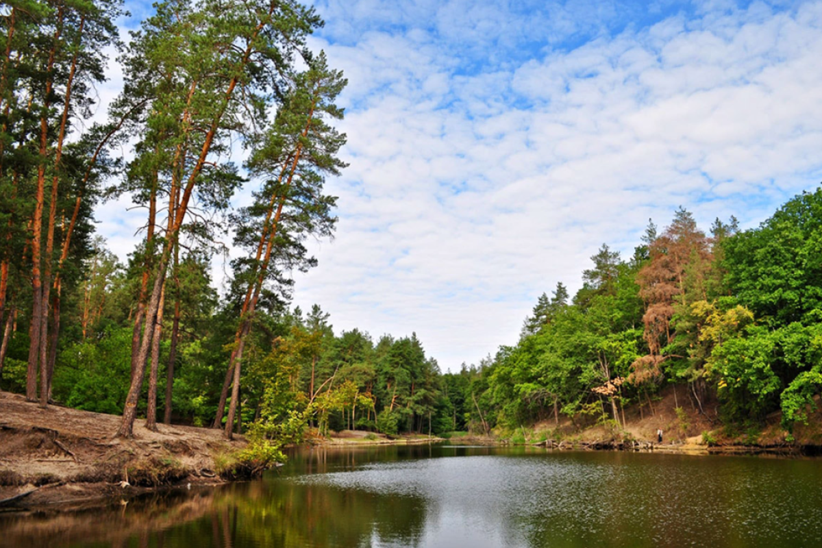 На Луганщине люди протестуют против строительства мусорозавода в Кременной