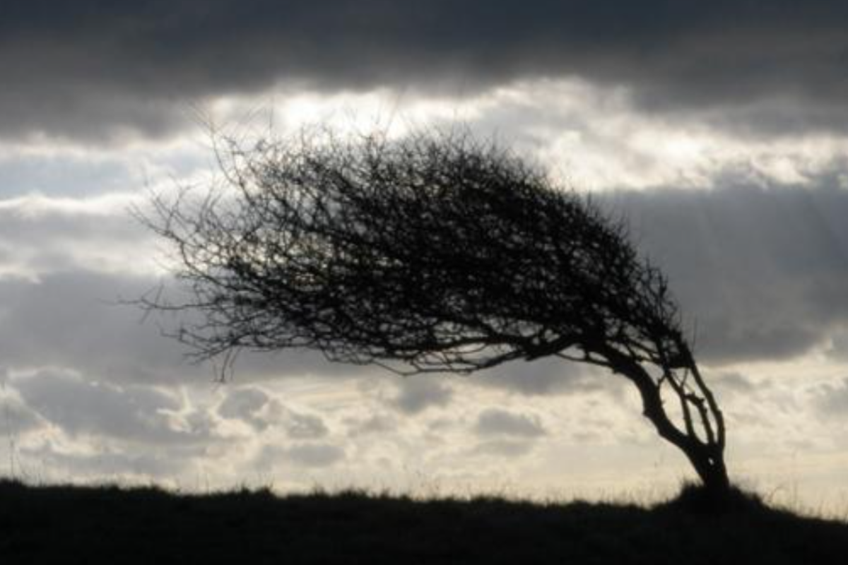 В Україні через негоду знеструмлено 529 населених пунктів у семи областях