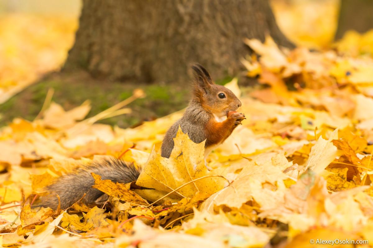 "Еще позагораем!": Синоптики рассказали, когда Украину накроет волна потепления "Еще позагораем!": Синоптики рассказали, когда Украину накроет волна потепления