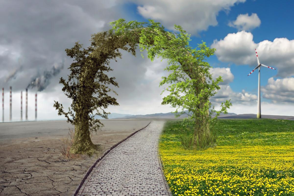 "Точка неповернення": Екологи попередили про незворотні зміни клімату в Україні "Точка неповернення": Екологи попередили про незворотні зміни клімату в Україні