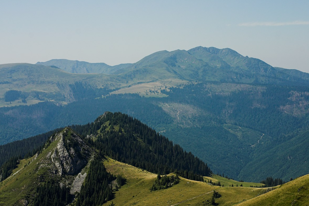 У Карпатах температура опустилася до 0 градусів