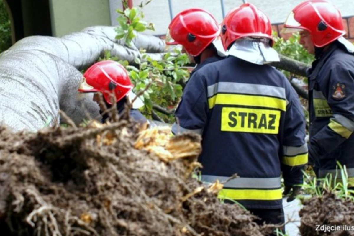В Польше из-за урагана погибли 4 человека, среди них - гражданин Украины В Польше из-за урагана погибли 4 человека, среди них - гражданин Украины