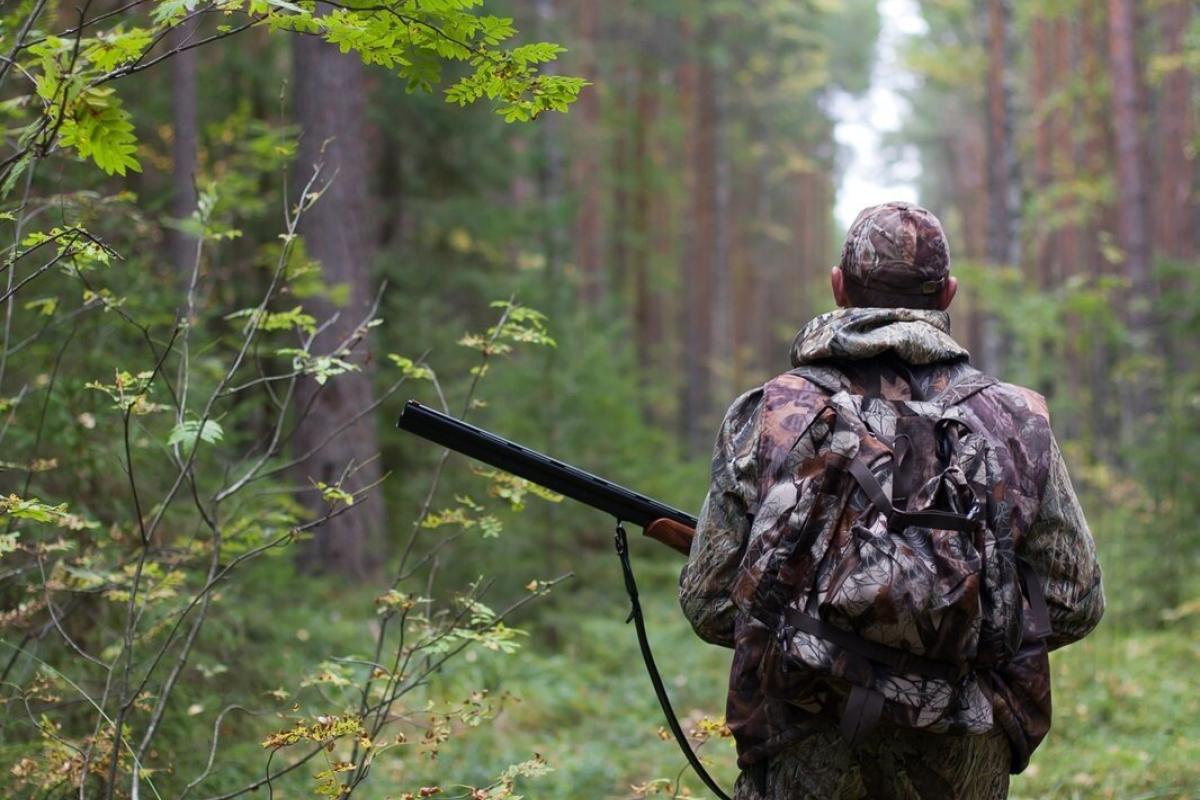 В Україні посилили покарання для браконьєрів: до кого та в яких випадках будуть застосовувати санкції В Україні посилили покарання для браконьєрів: до кого та в яких випадках будуть застосовувати санкції