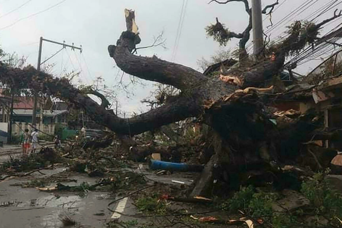 На Філіппінах тайфун "Рай" забрав життя понад 200 осіб На Філіппінах тайфун "Рай" забрав життя понад 200 осіб