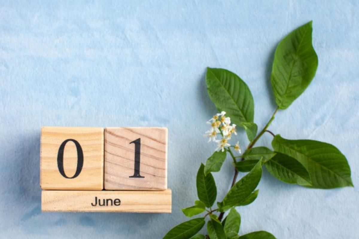 Скасування кредитних канікул, підвищення пенсій, нові правила для біженців: що чекає на українців з 1 червня Скасування кредитних канікул, підвищення пенсій, нові правила для біженців: що чекає на українців з 1 червня