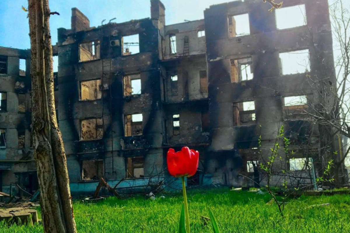 Окупанти знищують міста та мешканців Луганщини. Бої за Сєвєродонецьк тривають, - Гайдай