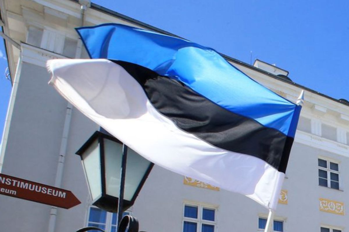 Естонія заборонила фізособам ввозити із РФ санкційні товари: перелік Естонія заборонила фізособам ввозити із РФ санкційні товари: перелік