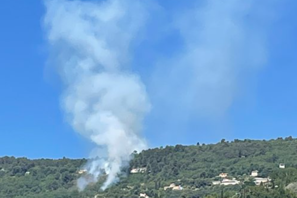 На півдні Франції спалахнули лісові пожежі На півдні Франції спалахнули лісові пожежі