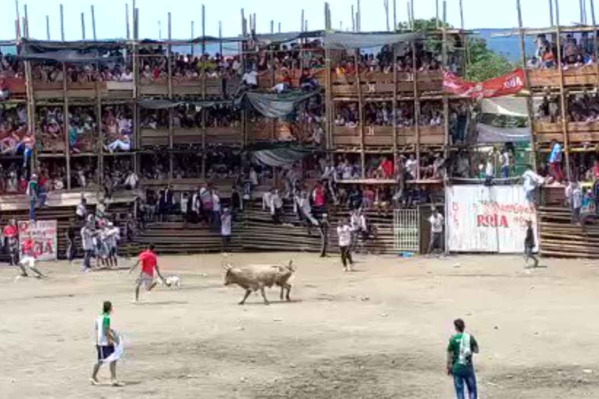 У Колумбії під час кориди впала трибуна з глядачами: сотні людей постраждало, є жертви У Колумбії під час кориди впала трибуна з глядачами: сотні людей постраждало, є жертви