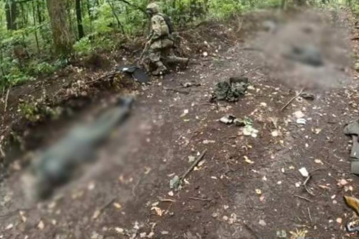 Украинские десантники уничтожили группу российских оккупантов на Донбассе