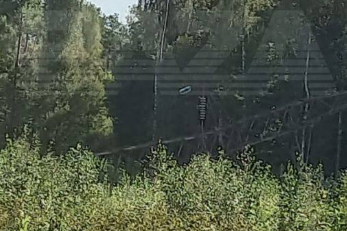 У Брянській області РФ біля залізниці підірвано дві опори ЛЕП У Брянській області РФ біля залізниці підірвано дві опори ЛЕП