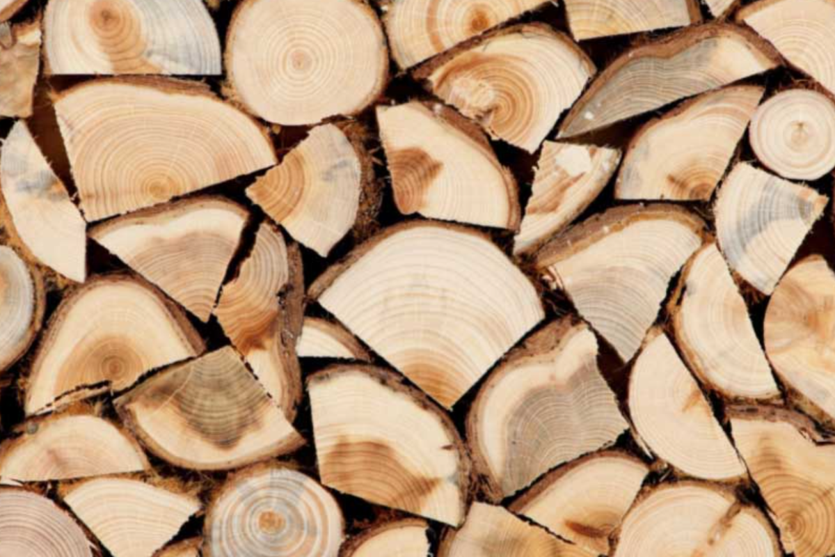 "ДроваЕ": В Украине заработал государственный интернет-магазин дров для населения "ДроваЕ": В Украине заработал государственный интернет-магазин дров для населения