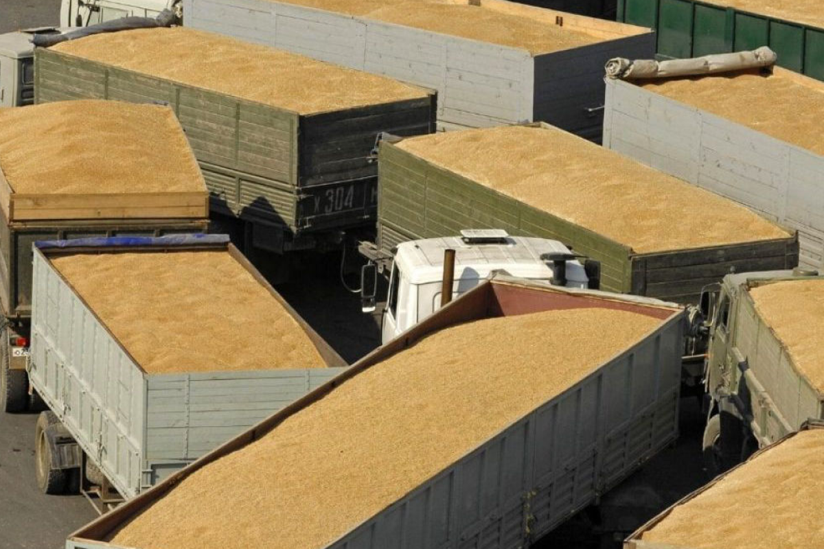 Білорусь погодилася на транзит українського зерна через свою територію