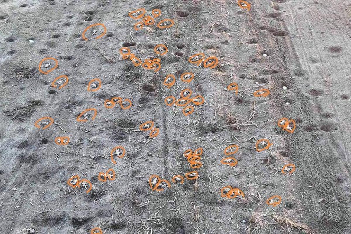 "М'ясорубка": У районі Бахмута та Соледара поля та окопи заповнені трупами російських солдатів "М'ясорубка": У районі Бахмута та Соледара поля та окопи заповнені трупами російських солдатів