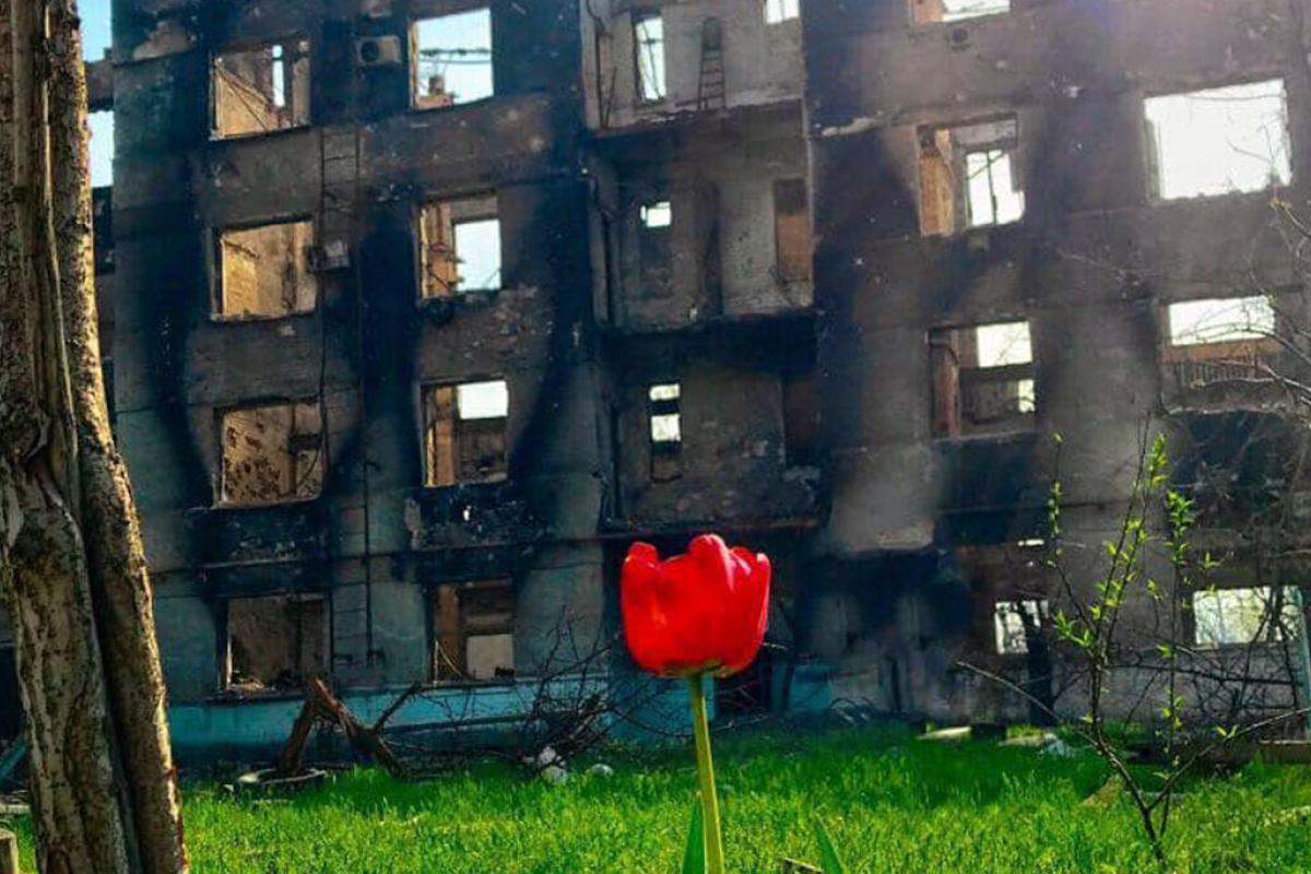 Оккупанты стирают с лица земли Луганщину: как выглядят "освобожденные" города и села (видео) Оккупанты стирают с лица земли Луганщину: как выглядят "освобожденные" города и села (видео)