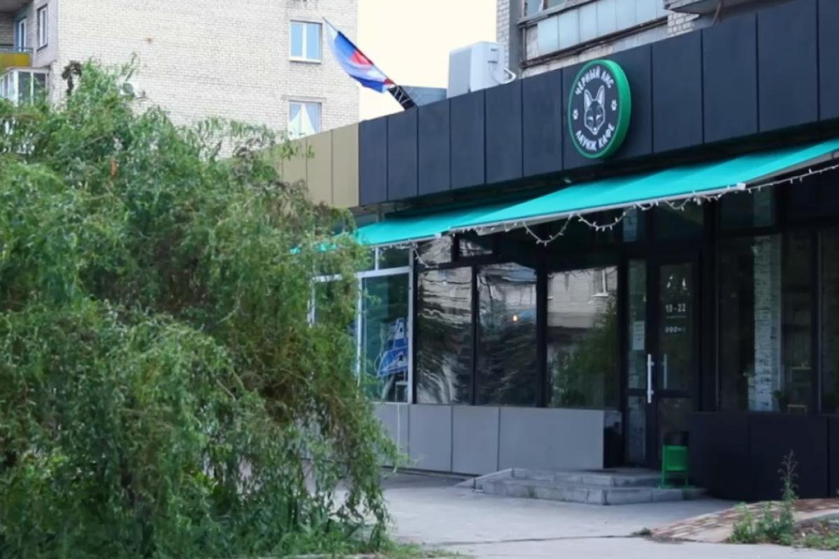 "Изменения необычные": Жители оккупированного Лисичанска назвали "плюсы развития" города "Изменения необычные": Жители оккупированного Лисичанска назвали "плюсы развития" города