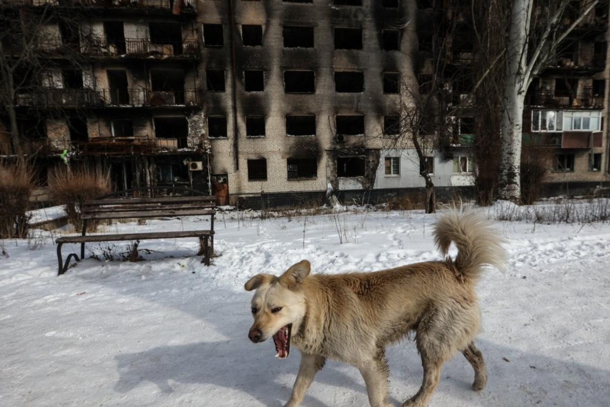 Сірий похмурий та безлюдний: У мережі з'явилися нові відео з окупованого Лисичанська
