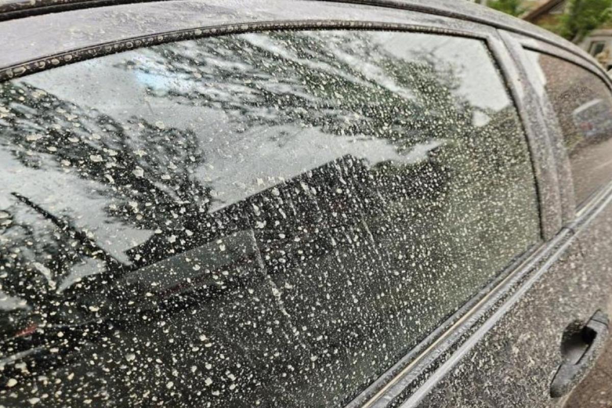 Пил із пустельних регіонів Середньої Азії та "брудні" дощі: прогноз погоди в Україні на кінець травня